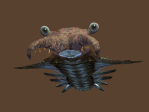 Living Anomalocaris