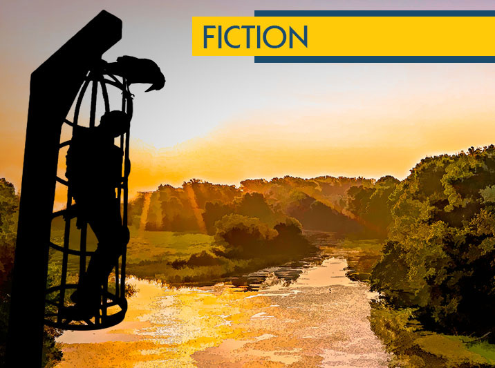 The View from My Cage Is Breathtaking, by William Mangieri