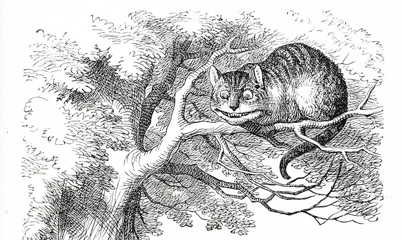 Ceshire cat in The Ghost of a Smile