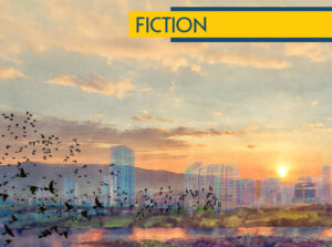 The Migration of Birds Through the City of Glass