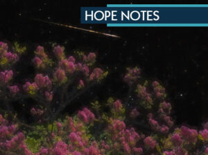 Hope Notes: Space Wood Project