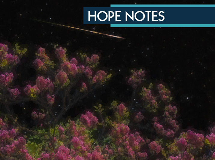 Hope Notes: Space Wood Project
