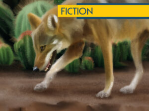 How Coyote Borrowed the Devil's Wings By K.S. Charlotte