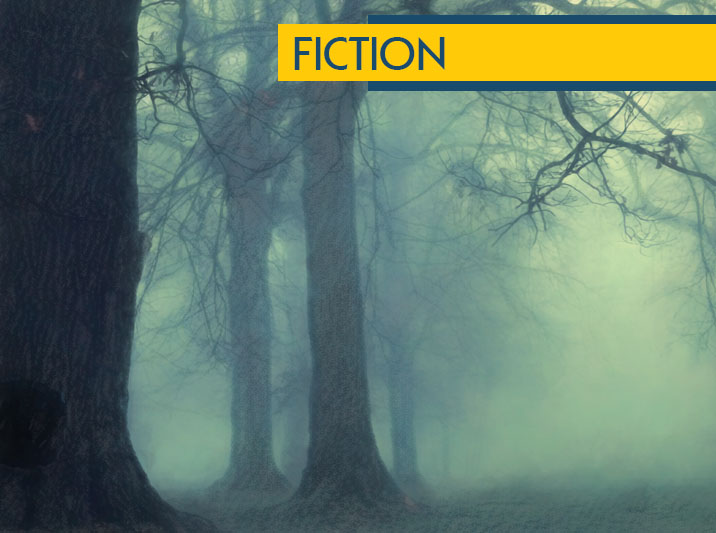 Two Brothers, One Stone by Anna Madden