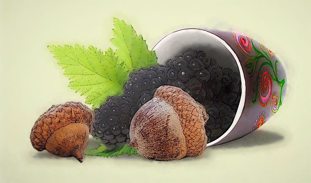 Berries and Acorns in Between Oak and Acorn, a Sunset Waits