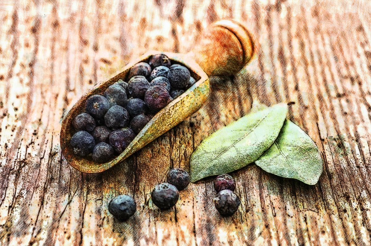 Juniper berries in A Bowl of Soup on the 87th Floor by Kai Holmwood