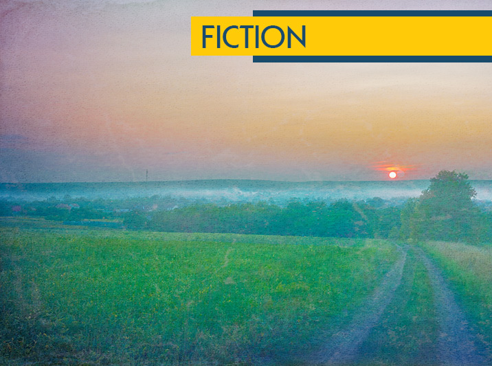 Countryside, By Chris Bannor