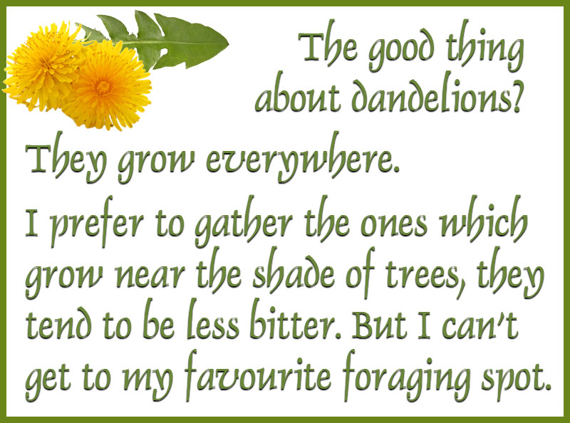 Dandelion Brew by Ana Sun