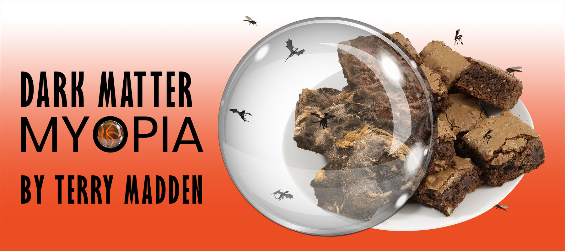 Dark Matter Myopia, by Terry Madden