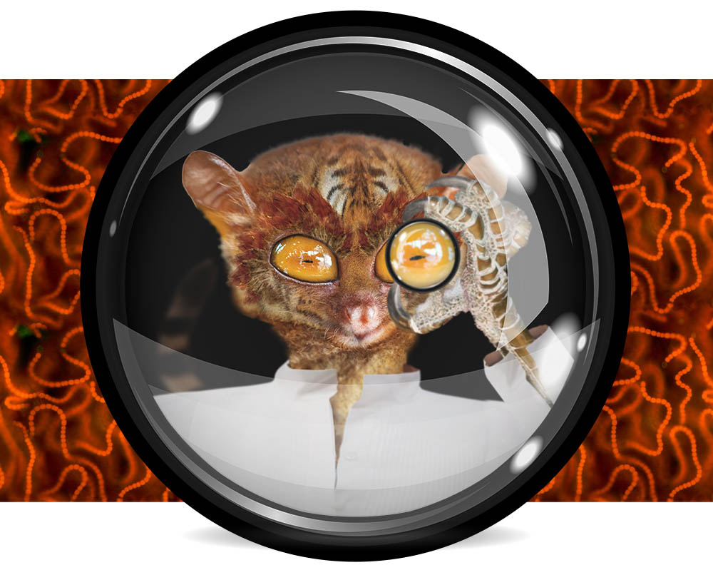 Dark Matter Myopia, by Terry Madden
