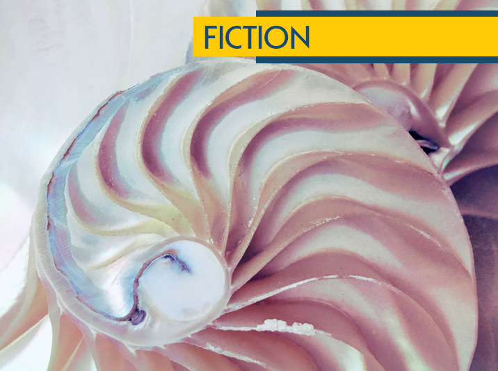 Fibonacci, By Eleanor R. Wood