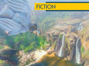 The Flight of the Brolga, by Henry Gasko