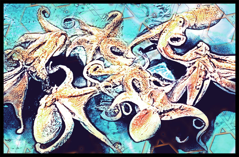 Variegated, I by Jason P. Burnham