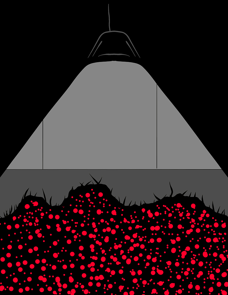 red eyes of the rats under a light in Another Day at the Orbital Ranch