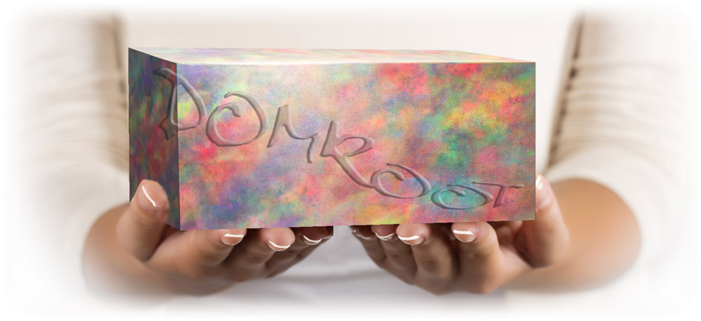 The Pluripossible Box, by Peter S. Drang