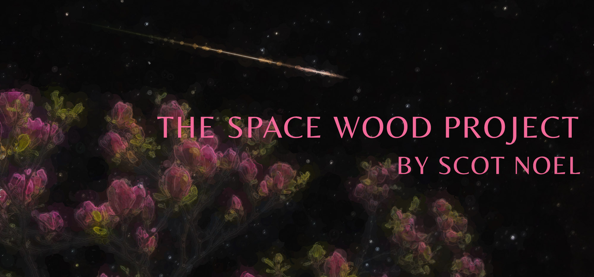 The Space Wood Project