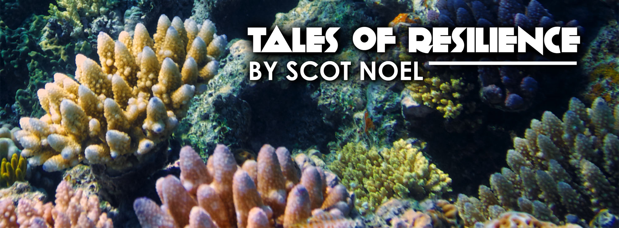 Tales of Resilience by Scot Noel