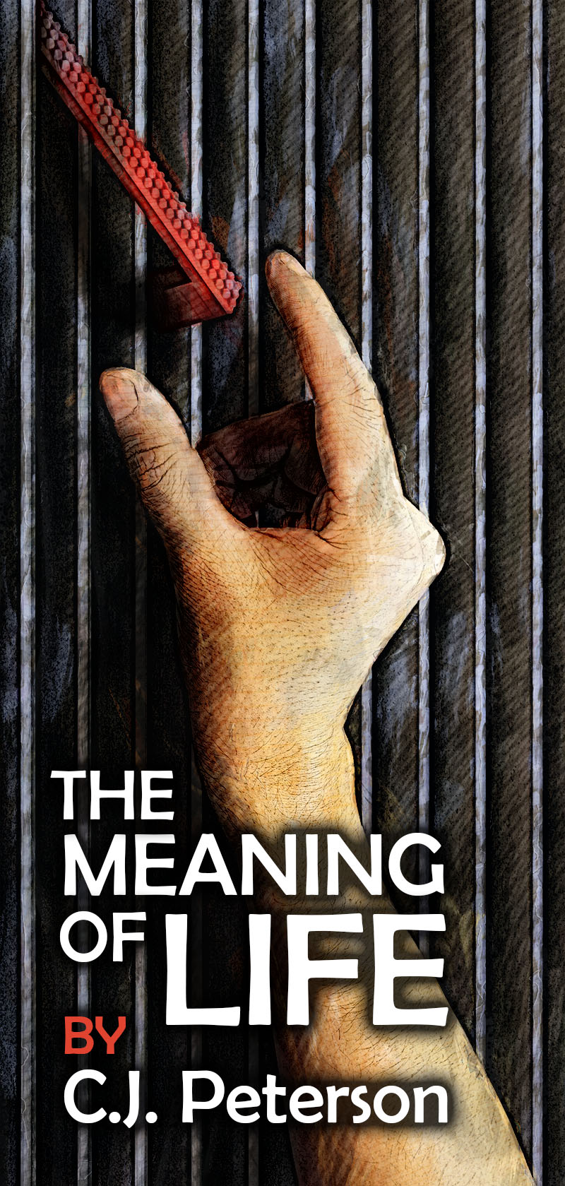 The Meaning of Life, by C.J. Peterson