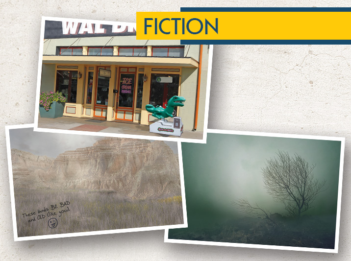 Three Postcards from Another Earth, by Shanna Yetman