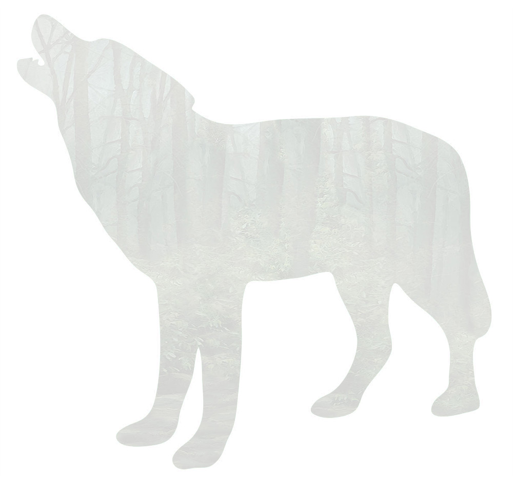 Wolf silhouette from A Question of Truth