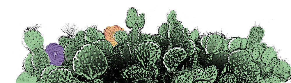 Cactus and Kutulu in the Desert