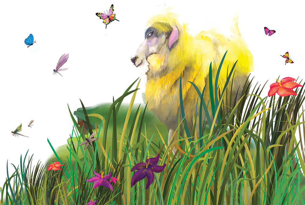 Errant sheep and butterflies