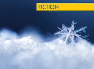 Snow, 2562 by Michael McCormick