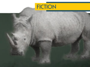 Sudan by G. M. Periera
