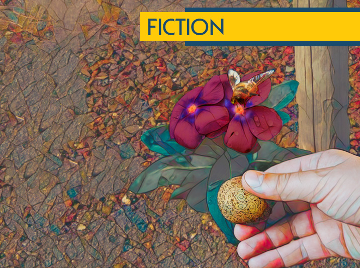 The Beekeepers Gift by Hugh McCormack